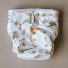 Cloth Bums Hydra Swim Nappy | Prehistoric-Swim Nappies-Cloth Bums-Ashlee Grace Activewear & Swimwear Online