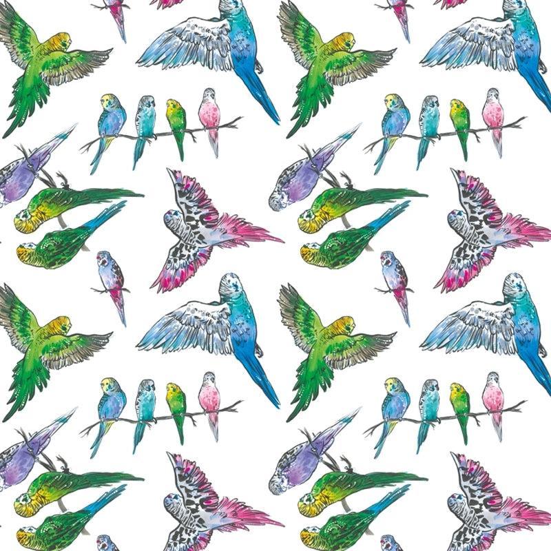 Designer Bums Budgie Banter Swim Nappy-Swim Nappies-Designer Bums-ONE SIZE-Budgie Banter-Ashlee Grace Activewear & Swimwear Online