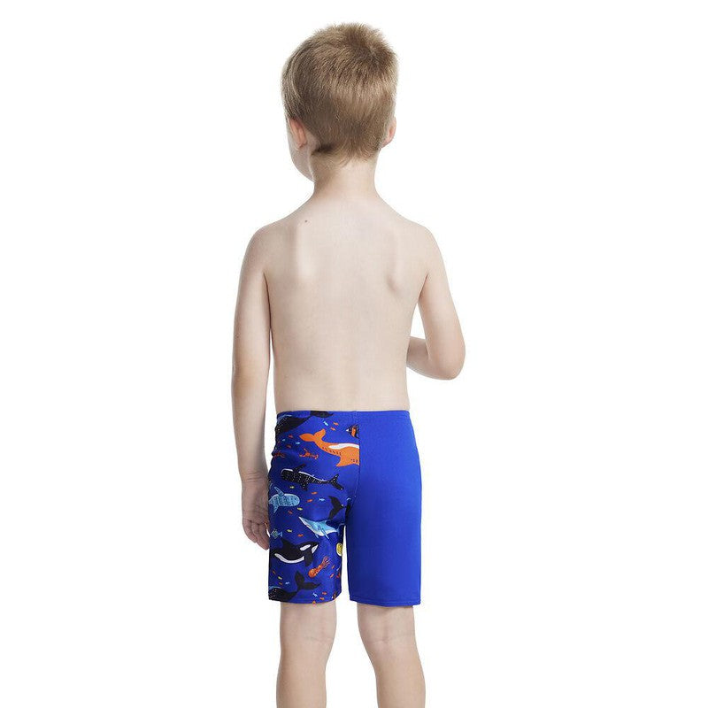 Speedo Toddler Boys Digital Printed Jammer-Swimwear-Speedo-1-Black/Beautiful Blue/Pebble Grey/Lapis Blue-Ashlee Grace Activewear & Swimwear Online
