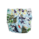 Designer Bums Orca Pod Swim Nappy-Swim Nappies-Designer Bums-ONE SIZE-Orca Pod-Ashlee Grace Activewear & Swimwear Online
